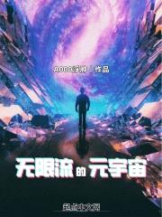 无限流的元宇宙封面